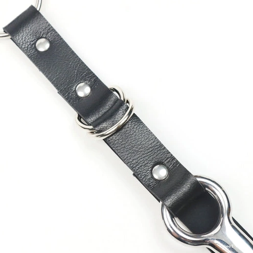 Anal Hooks Hook with Anal Leash EverydayUse Collar 5853 and Kinky 0921